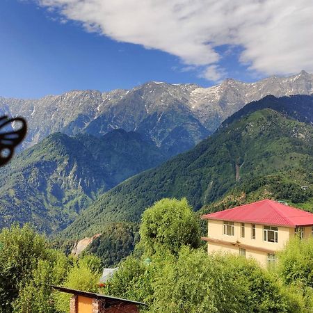 Sahaj Homestay Naddi 다람샬라 외부 사진